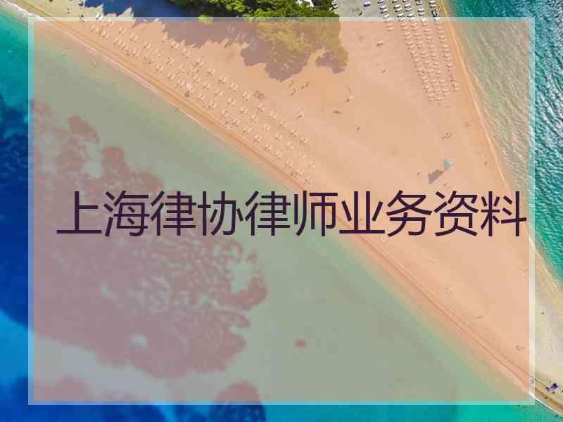 上海律协律师业务资料