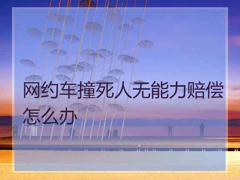 网约车撞死人无能力赔偿怎么办