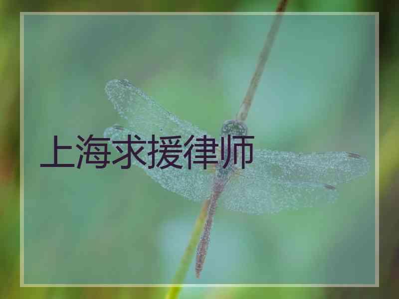 上海求援律师