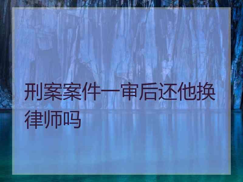 刑案案件一审后还他换律师吗