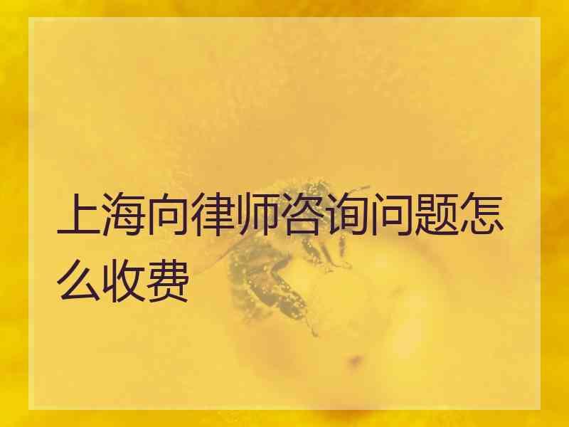 上海向律师咨询问题怎么收费