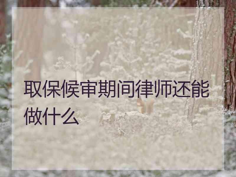 取保候审期间律师还能做什么