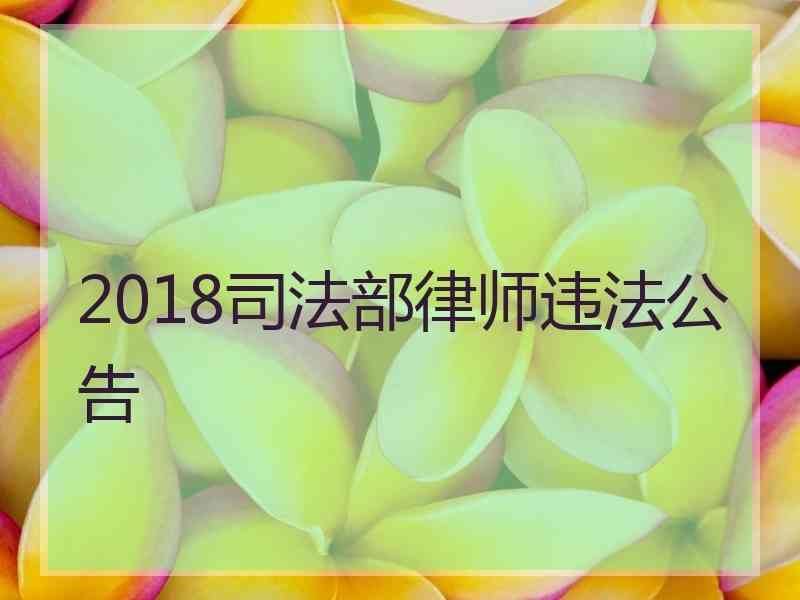 2018部律师违法公告