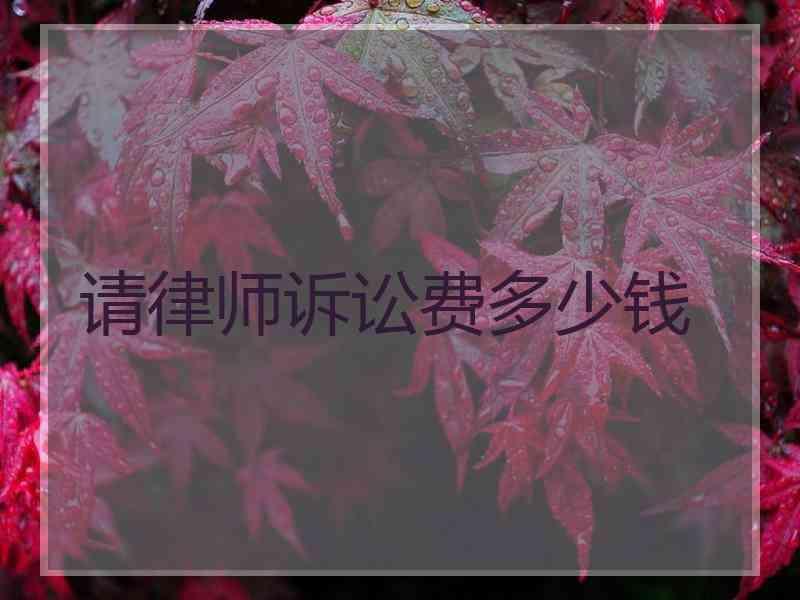 请律师诉讼费多少钱