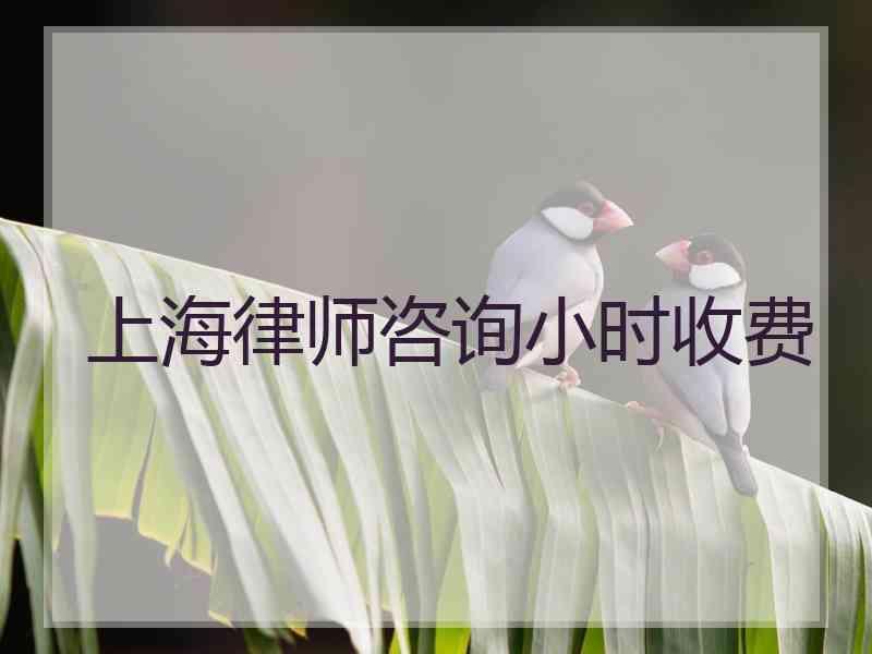 上海律师咨询小时收费