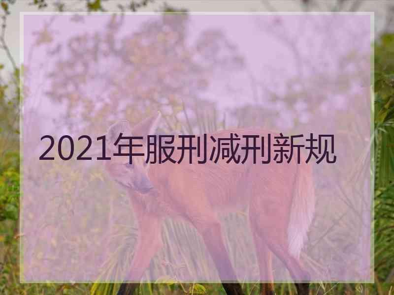 2021年服刑减刑新规