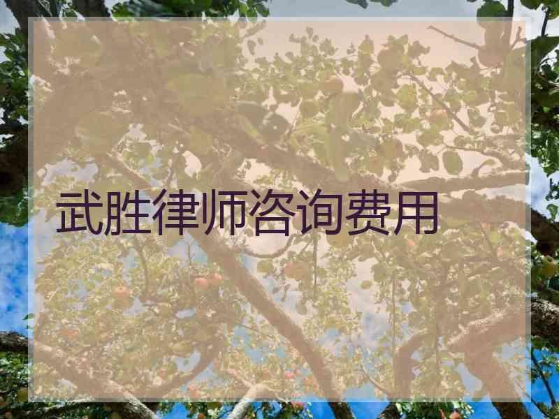 武胜律师咨询费用