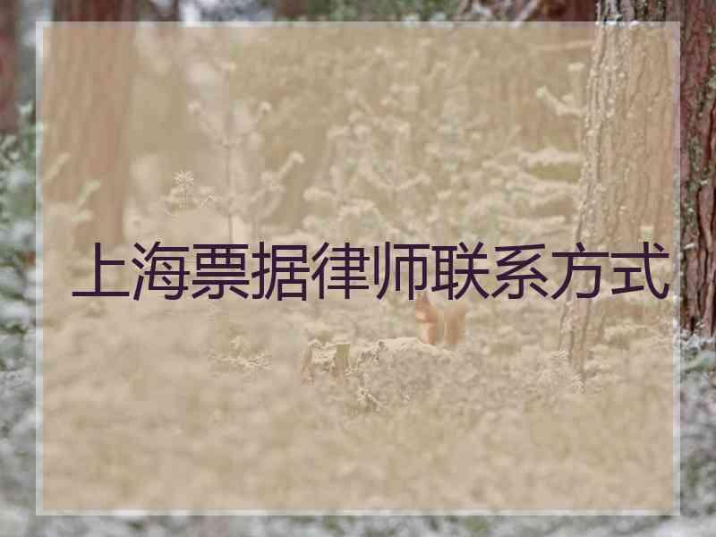 上海票据律师联系方式