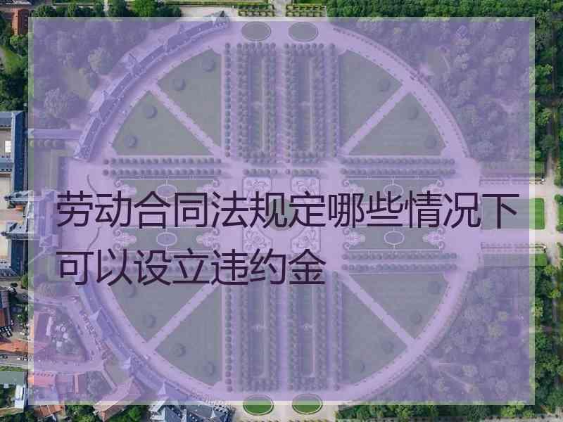 劳动合同法规定哪些情况下可以设立违约金