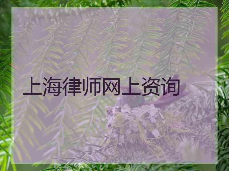 上海律师网上资询