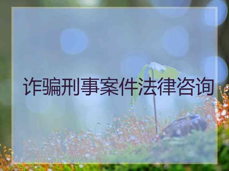 诈骗刑事案件法律咨询