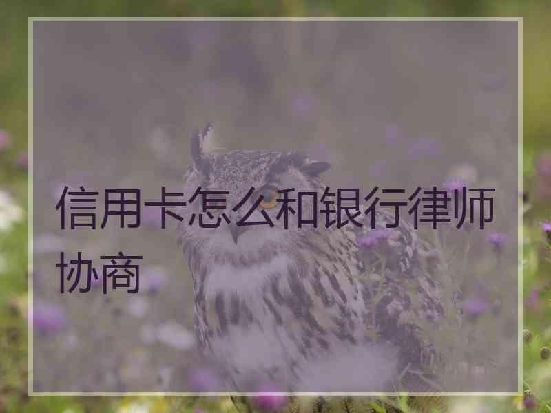 信用卡怎么和银行律师协商