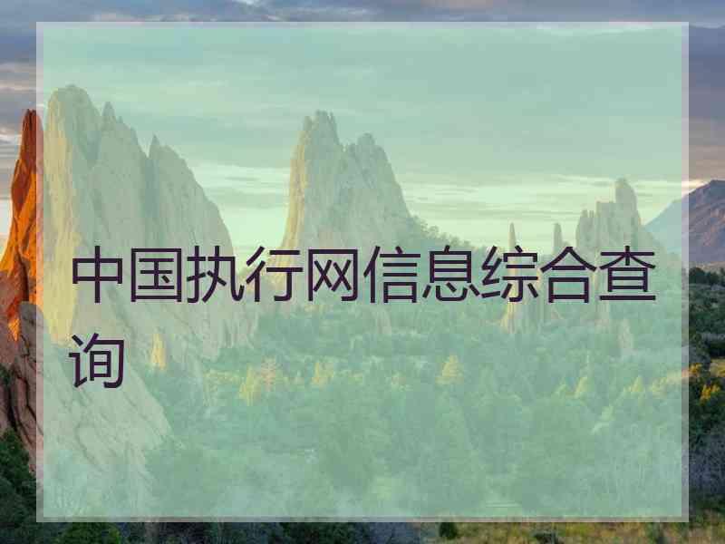 中国执行网信息综合查询