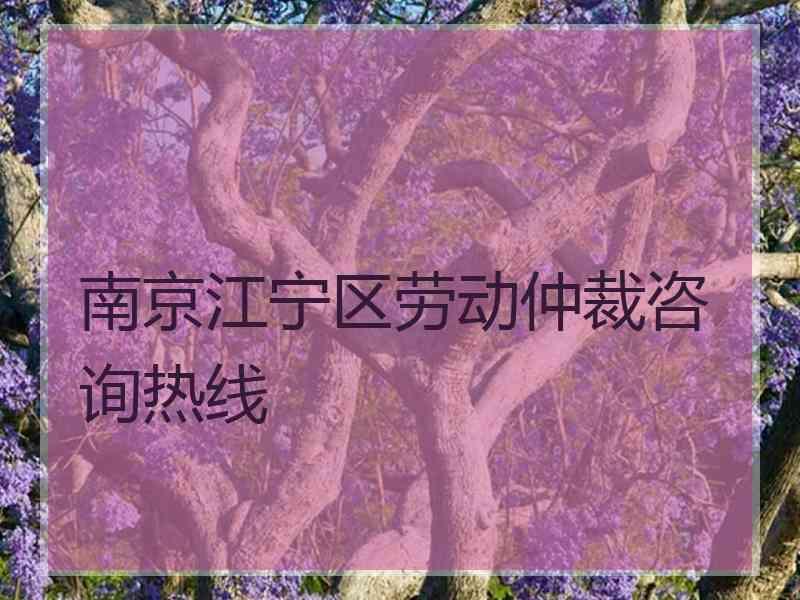 南京江宁区劳动仲裁咨询热线