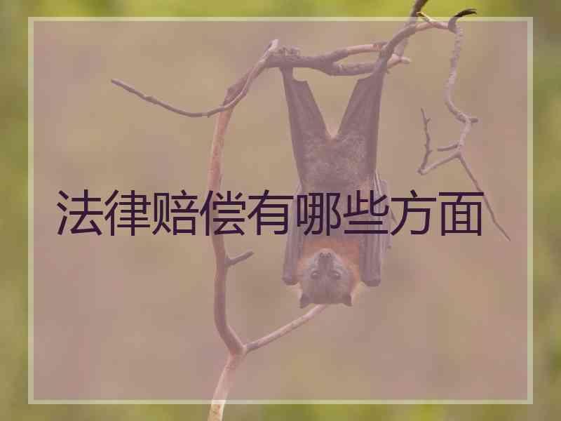 法律赔偿有哪些方面