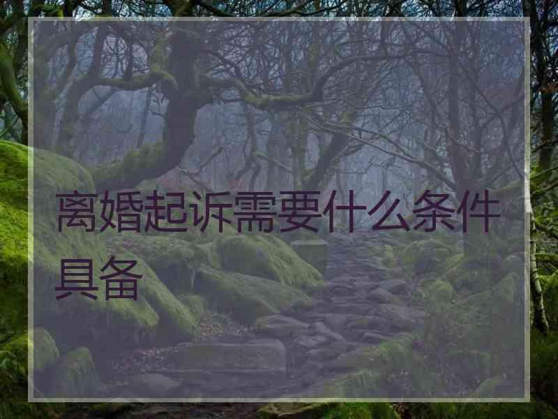 离婚起诉需要什么条件具备