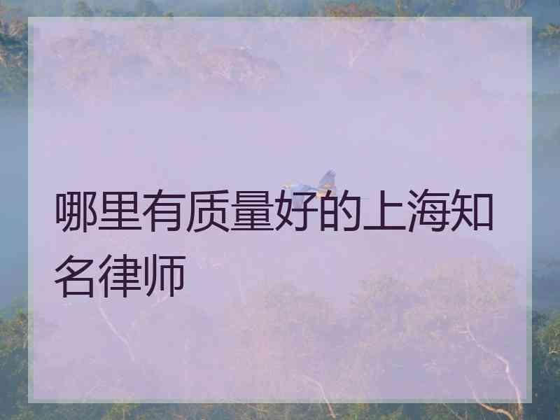 哪里有质量好的上海知名律师