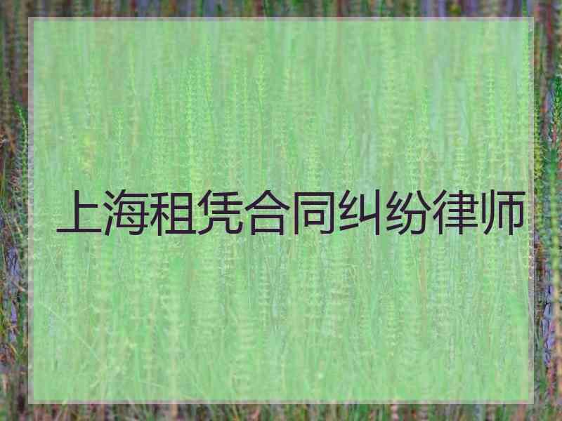 上海租凭合同纠纷律师