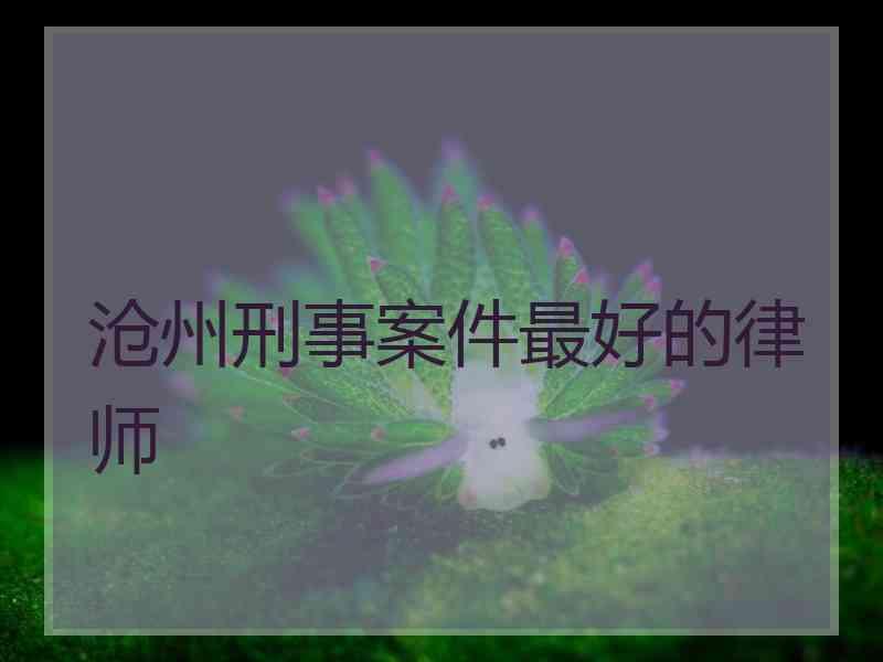 沧州刑事案件最好的律师