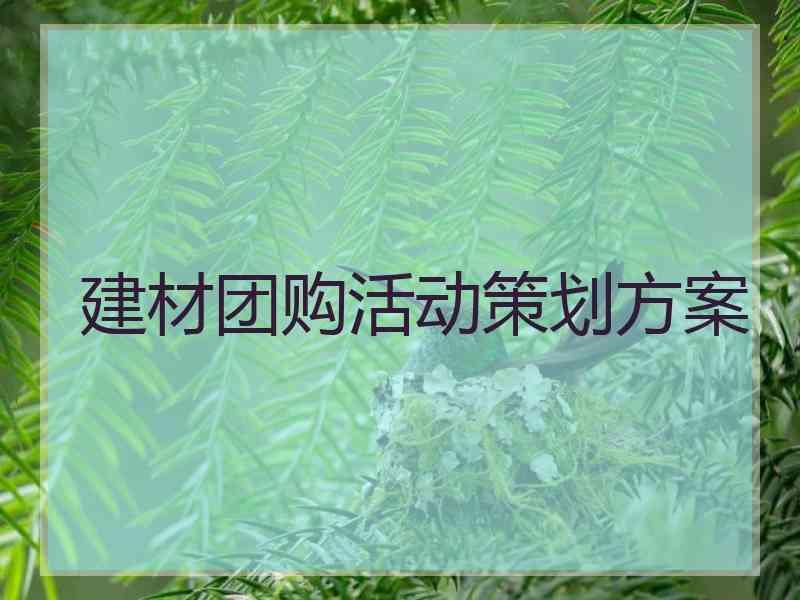 建材团购活动策划方案