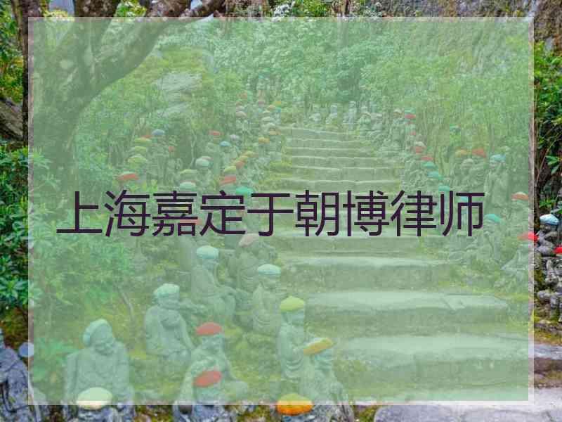 上海嘉定于朝博律师