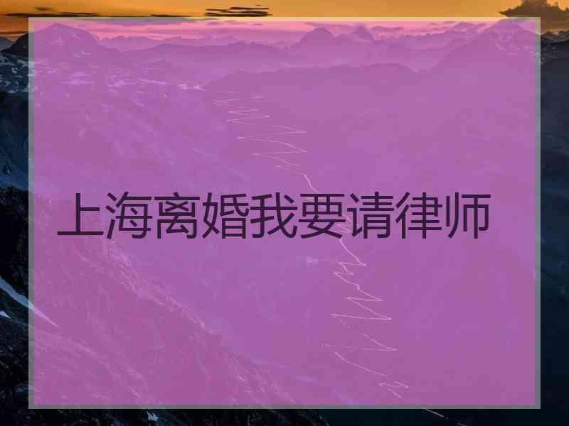 上海离婚我要请律师