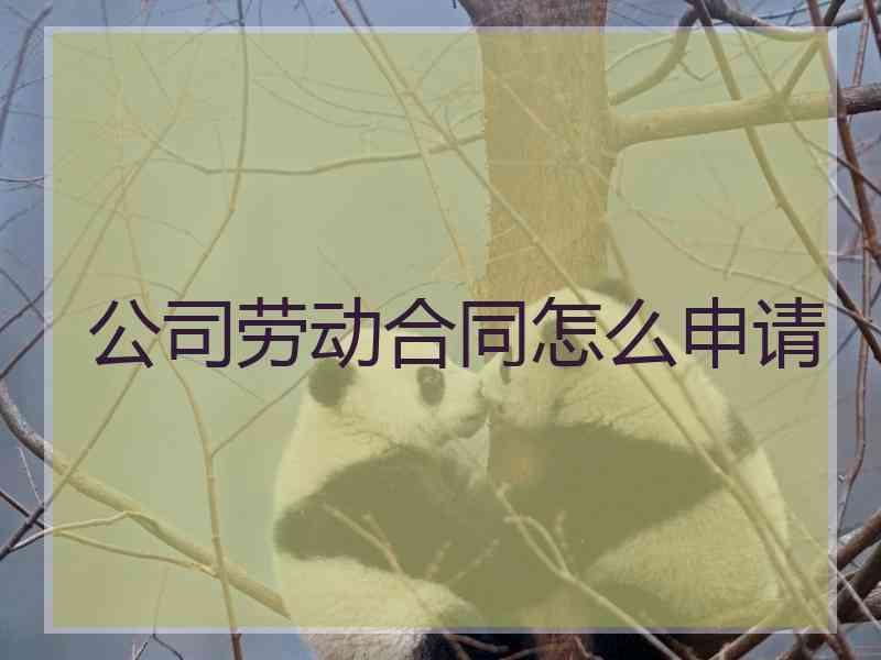 公司劳动合同怎么申请