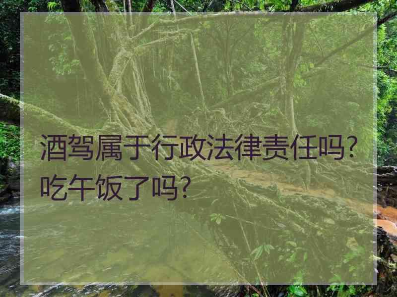 酒驾属于行政法律责任吗?吃午饭了吗?