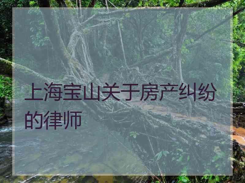 上海宝山关于房产纠纷的律师