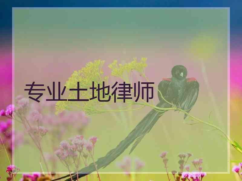 专业土地律师