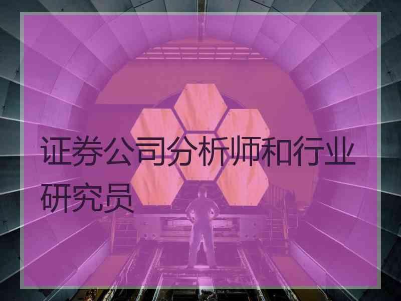 证券公司分析师和行业研究员