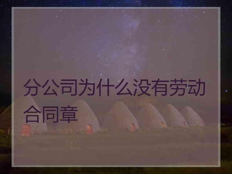 分公司为什么没有劳动合同章