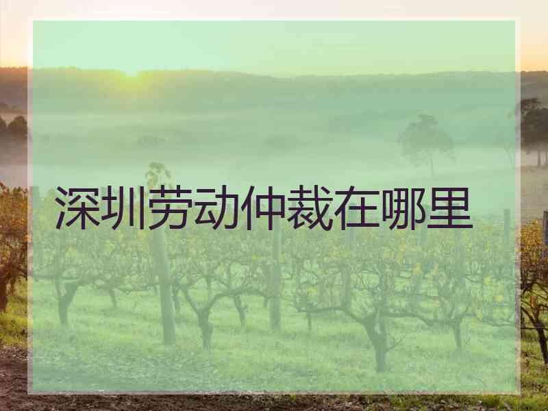 深圳劳动仲裁在哪里