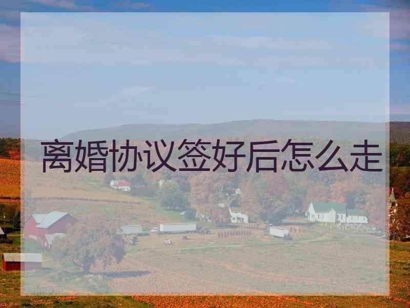 离婚协议签好后怎么走