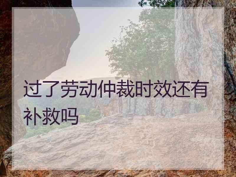 过了劳动仲裁时效还有补救吗