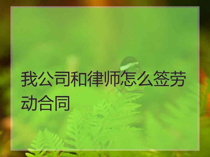 我公司和律师怎么签劳动合同