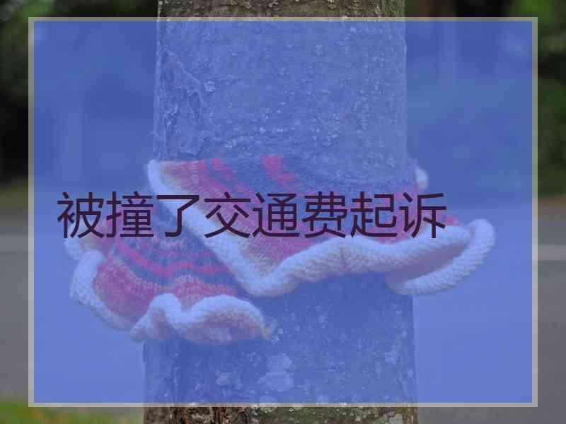 被撞了交通费起诉