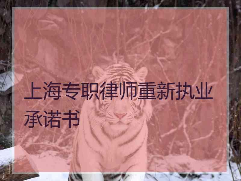 上海专职律师重新执业承诺书