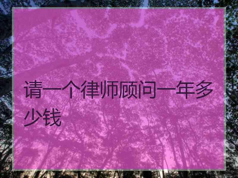 请一个律师顾问一年多少钱