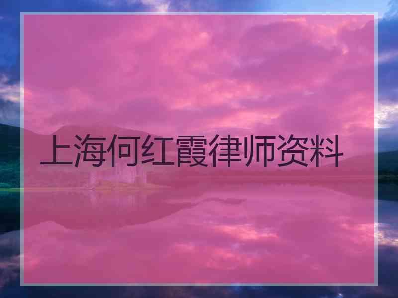 上海何红霞律师资料