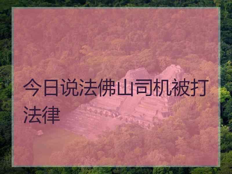 今日说法佛山司机被打法律