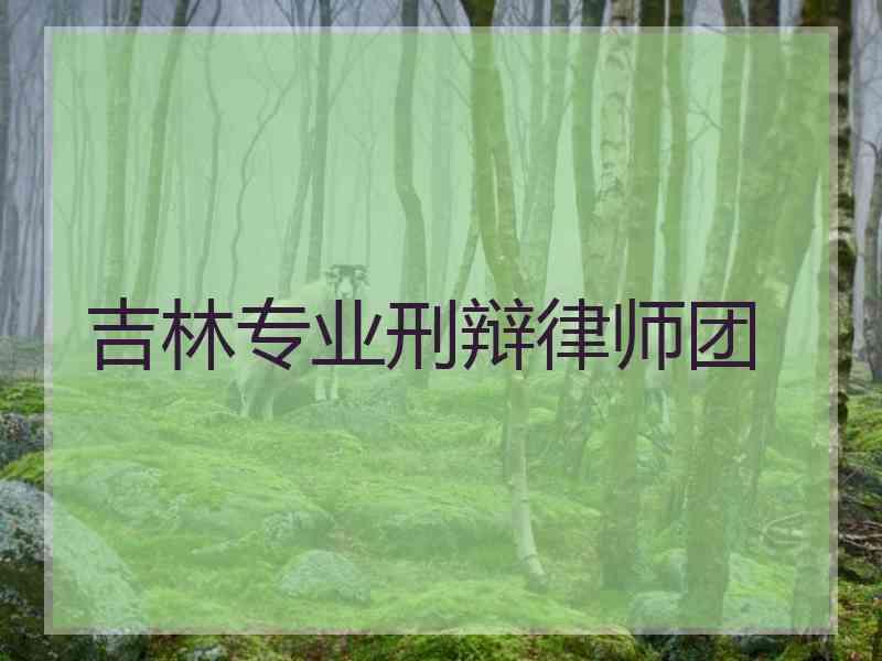 吉林专业刑辩律师团