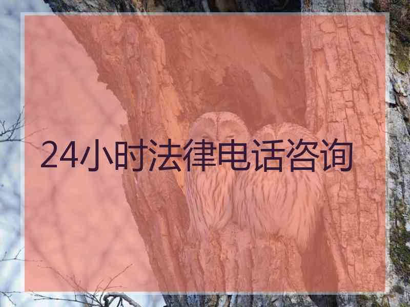 24小时法律电话咨询