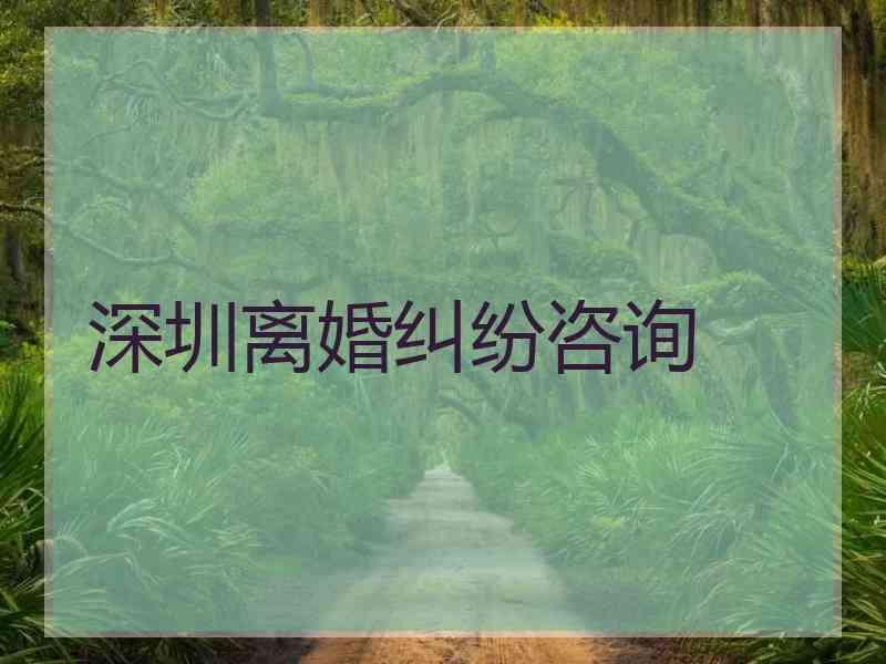 深圳离婚纠纷咨询