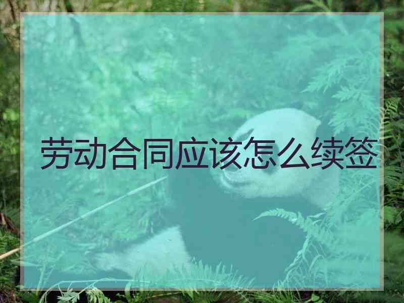 劳动合同应该怎么续签
