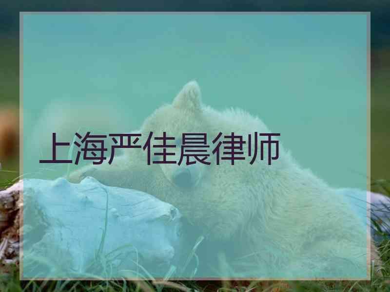 上海严佳晨律师