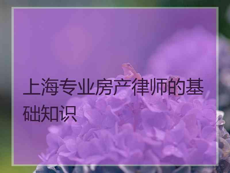 上海专业房产律师的基础知识