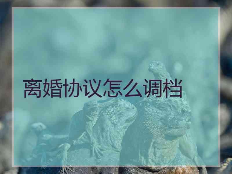 离婚协议怎么调档