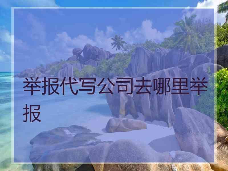 举报代写公司去哪里举报