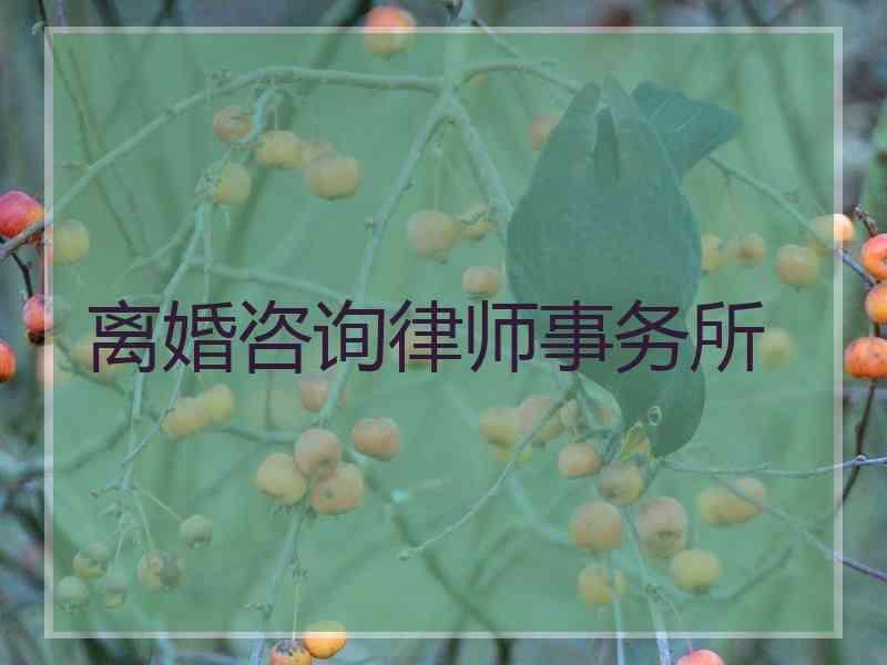 离婚咨询律师事务所